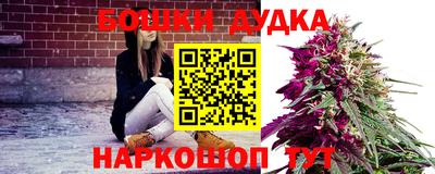 Альфа ПВП Заволжье