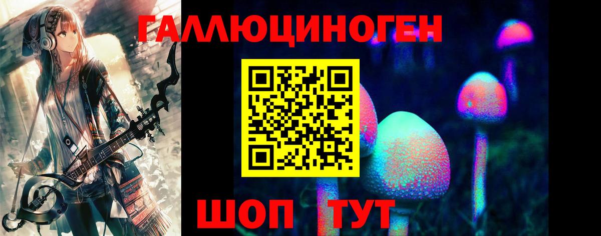 Галлюциногенные грибы Psilocybe Лосино-Петровский